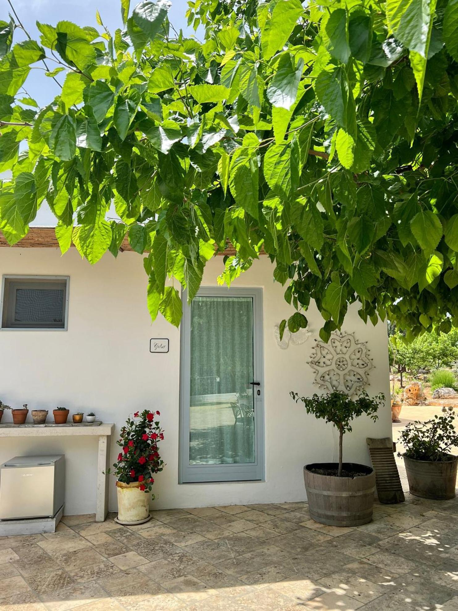Bed and Breakfast Trullo Santangelo à Ceglie Messapica Extérieur photo